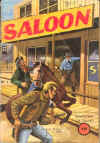 saloon1b.jpg (33407 octets)